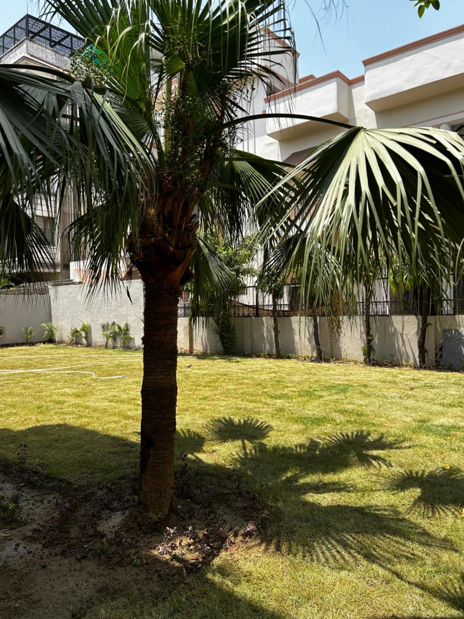 Ashirvad Homestay Bénarès Extérieur photo